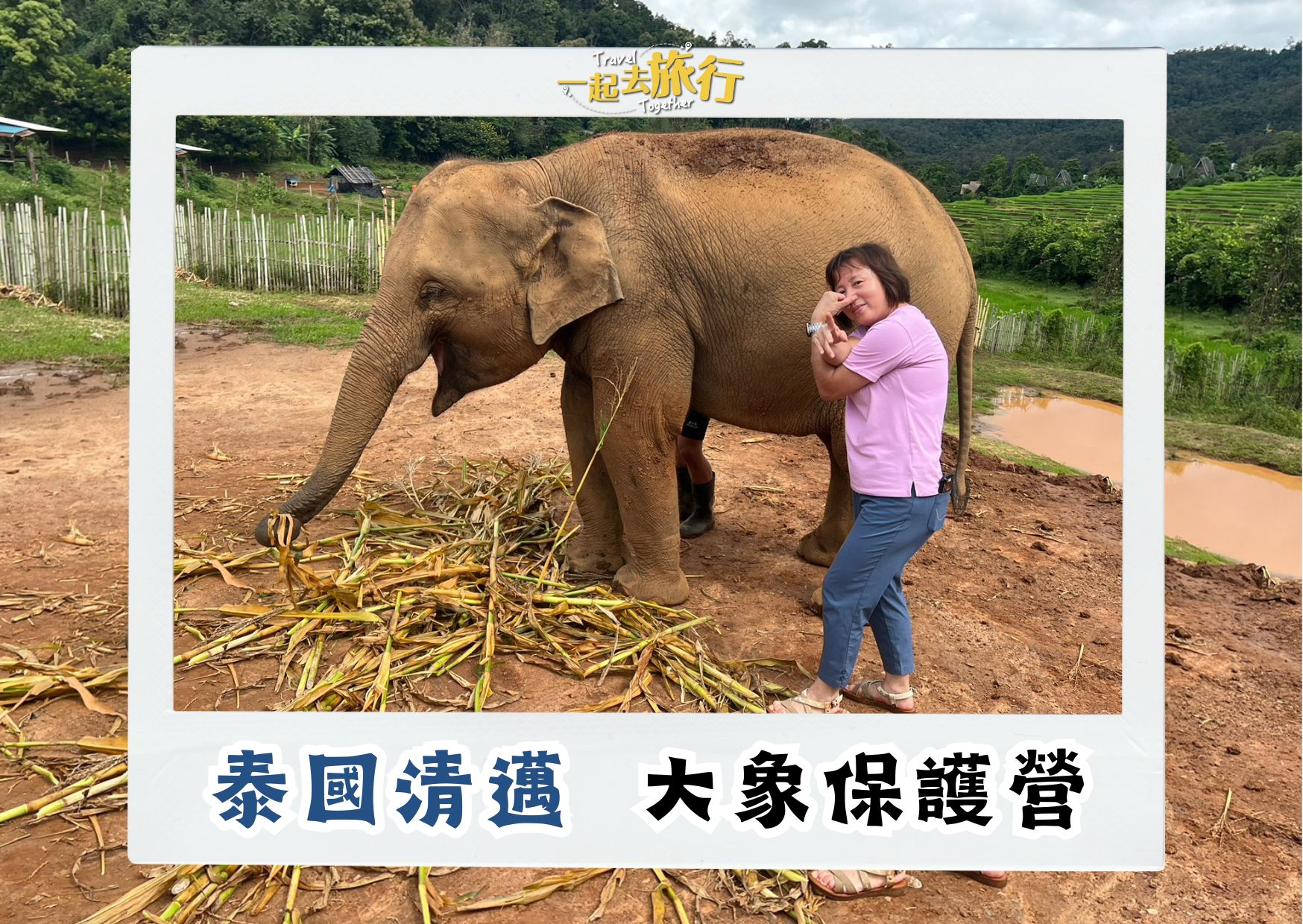 泰國清邁大象保護營 泰國清邁大象保護營