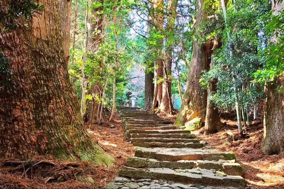 【日本】東方朝聖之路-熊野古道健走 7天 (雙朝聖認證路線)