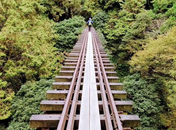 嘉義 | 走入歷史失落的森林鐵路─眠月線 3天